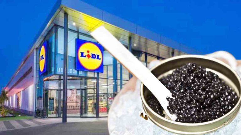 Noël :Lidl vend du caviar et des produits de luxe à moins de 10 euros !