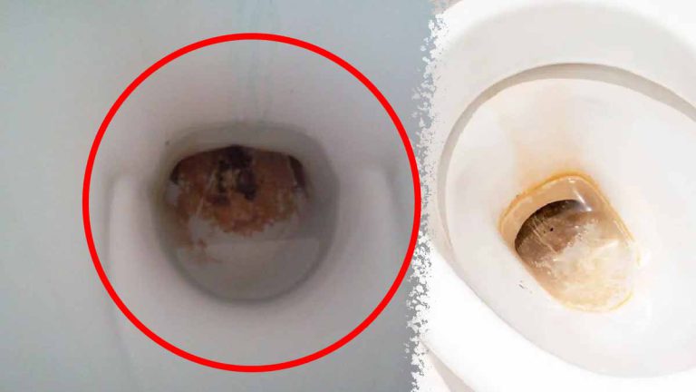 5 astuces efficaces pour enlever du tartre incrusté dans les toilettes