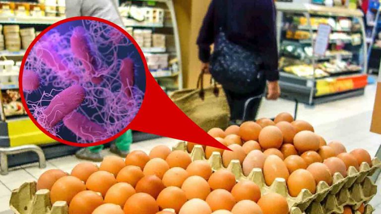 Alerte danger : attention, des œufs bio vendus sur des marchés rappelés durgence !