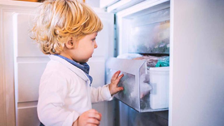 Combien de temps se conservent les aliments surgelés au freezer du frigo ?