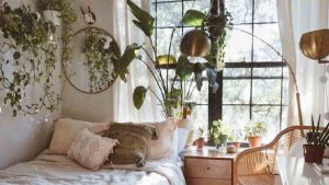 Pour vous aider à être serein et bien dormir, voici 5 plantes pour décorer votre chambre (en plus, elles sentent bon !)