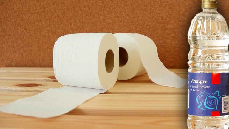 Voici pourquoi mouiller du papier toilette avec du vinaigre blanc est une astuce utile pour toute la maison