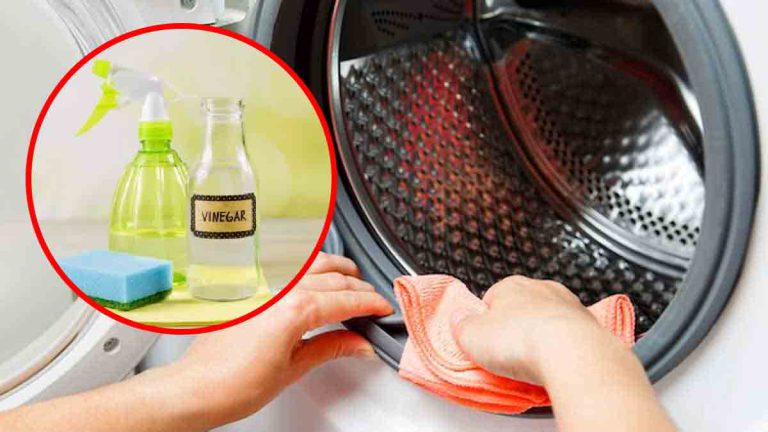 lave-linge-comment-le-nettoyer-en-economisant-de-lelectricite