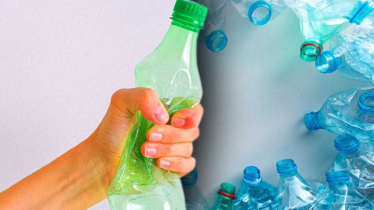 recyclage-des-bouteilles-en-plastique-une-decision-devrait-etre-prise-en-juin