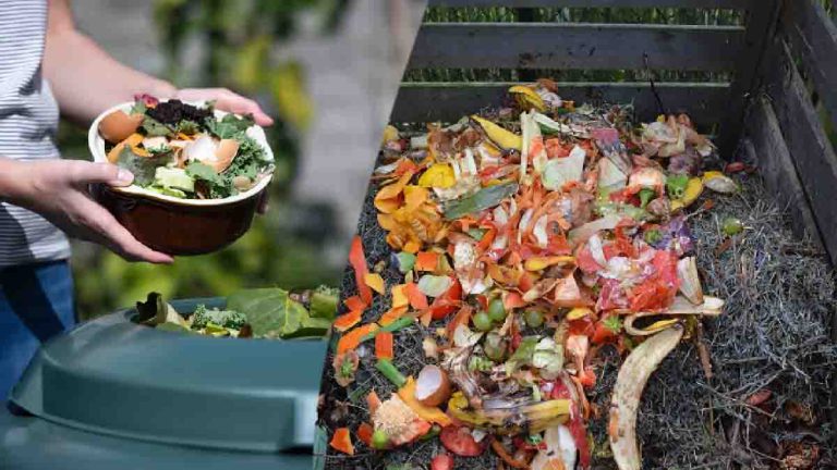 compostage-obligatoire-une-amende-a-encourir-si-cette-regle-nest-pas-honoree