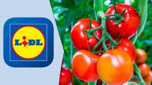 lidl-lance-un-pot-design-pour-cultiver-ses-tomates-a-la-maison