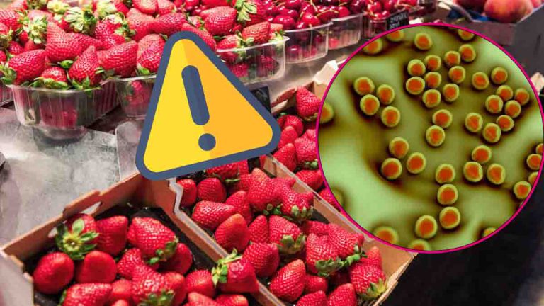 sante-attention-a-ces-fraises-remplies-de-pesticides-provenant-de-ce-pays