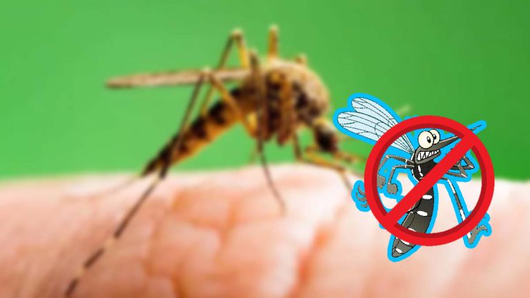 un-nouvel-anti-moustiques-a-base-de-composants-naturels-pour-une-protection-efficace