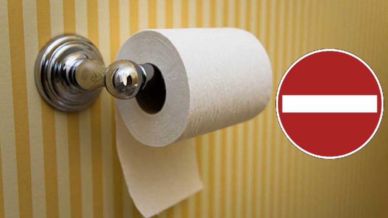 papier-toilette-revolutionnez-votre-routine-et-adoptez-des-alternatives-ecologiques-et-hygieniques