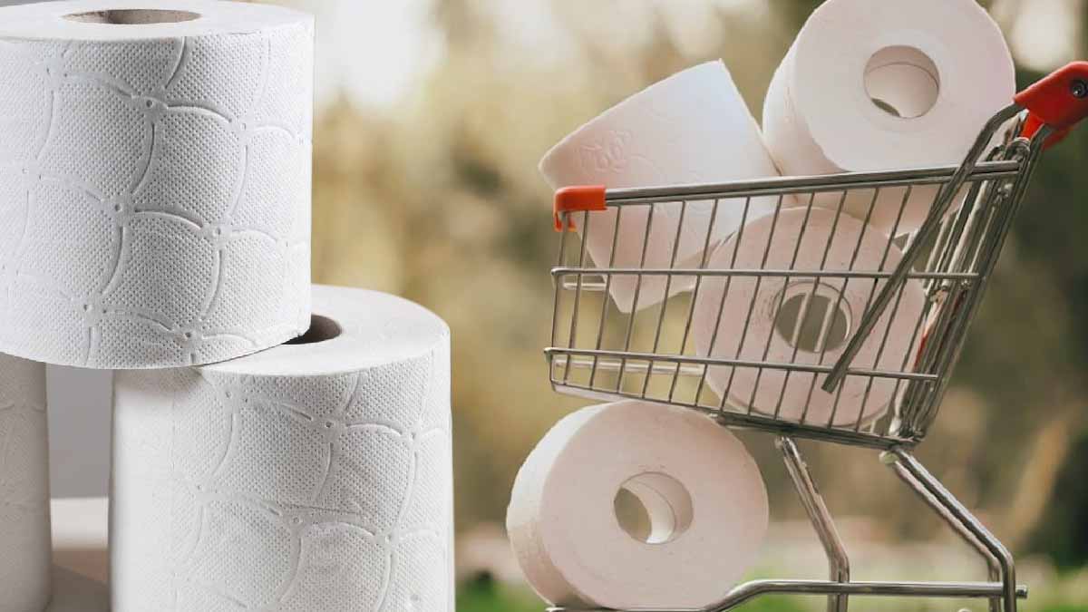 Fin du papier toilette : découvrez quand et par quoi il sera remplacé