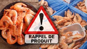attention-au-rappel-produit-des-crevettes-vendues-en-france-sont-contaminees-par-la-listeria